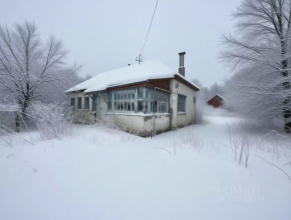 Дом в Тульская область, Тула городской округ, с. Федоровка 53 (45 м) - Фото 1