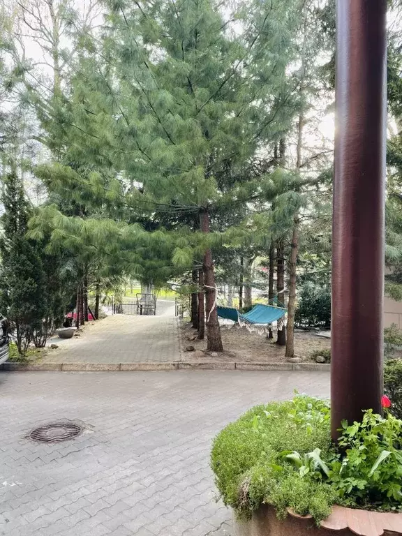 1-к кв. Калининградская область, Калининград ул. Тельмана, 18 (52.0 м) - Фото 2