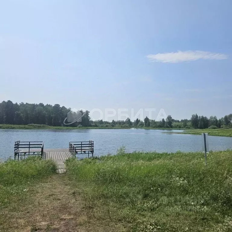 Участок в Тюменская область, Тюменский район, д. Ушакова ул. Тихая ... - Фото 0