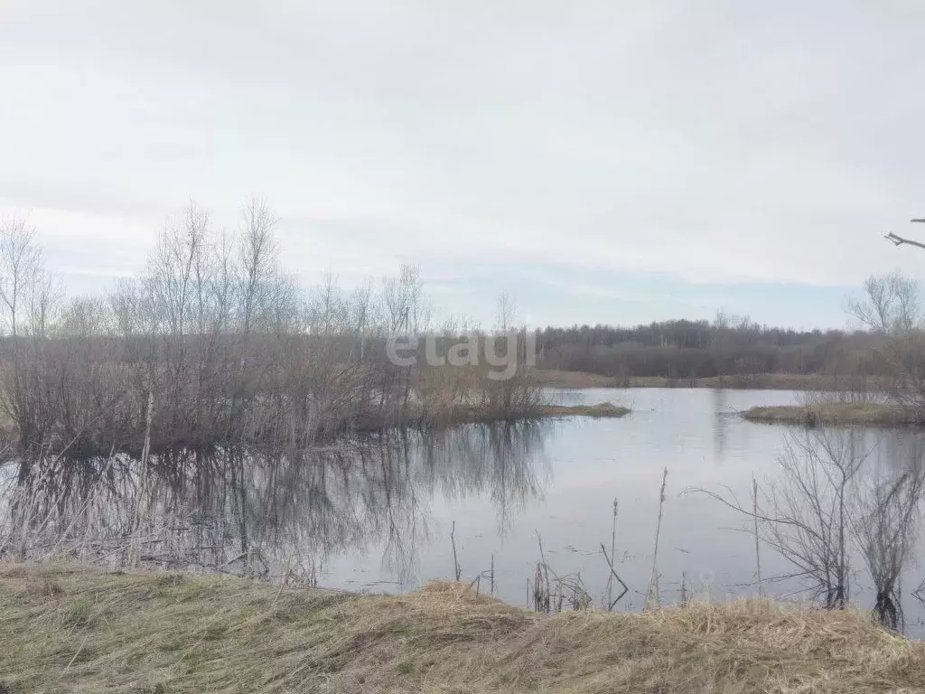 Участок в Ярославская область, Ярославский муниципальный округ, д. ... - Фото 1