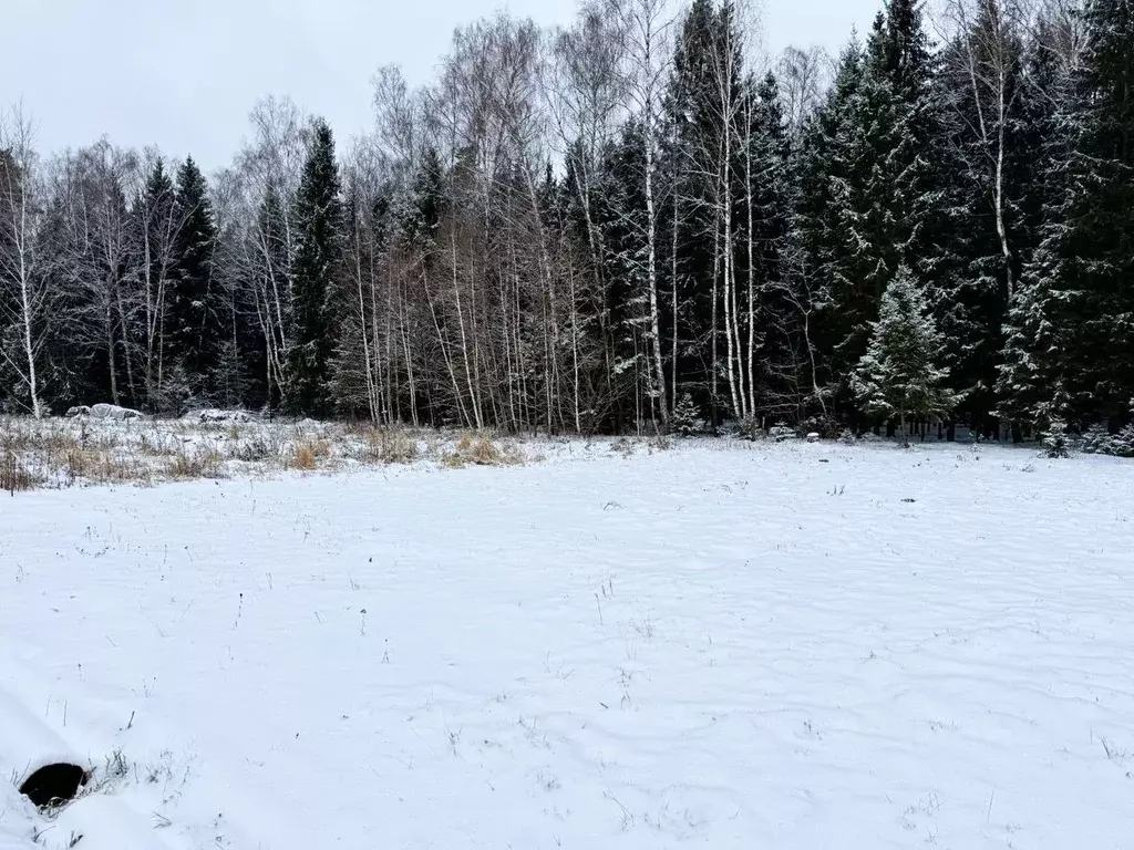 Участок в Московская область, Одинцовский городской округ, с. Ершово  ... - Фото 2