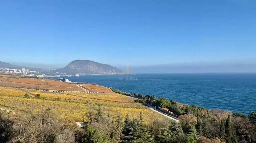 2-к кв. Крым, Ялта муниципальный округ, пос. Даниловка ул. Лесная, 4В ... - Фото 1