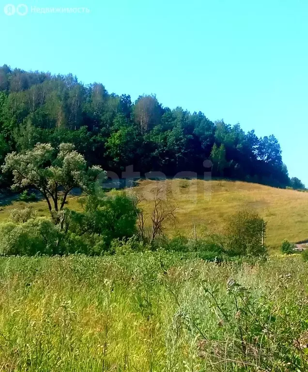 Участок в Республика Мордовия, село Кочкурово (40.5 м) - Фото 1