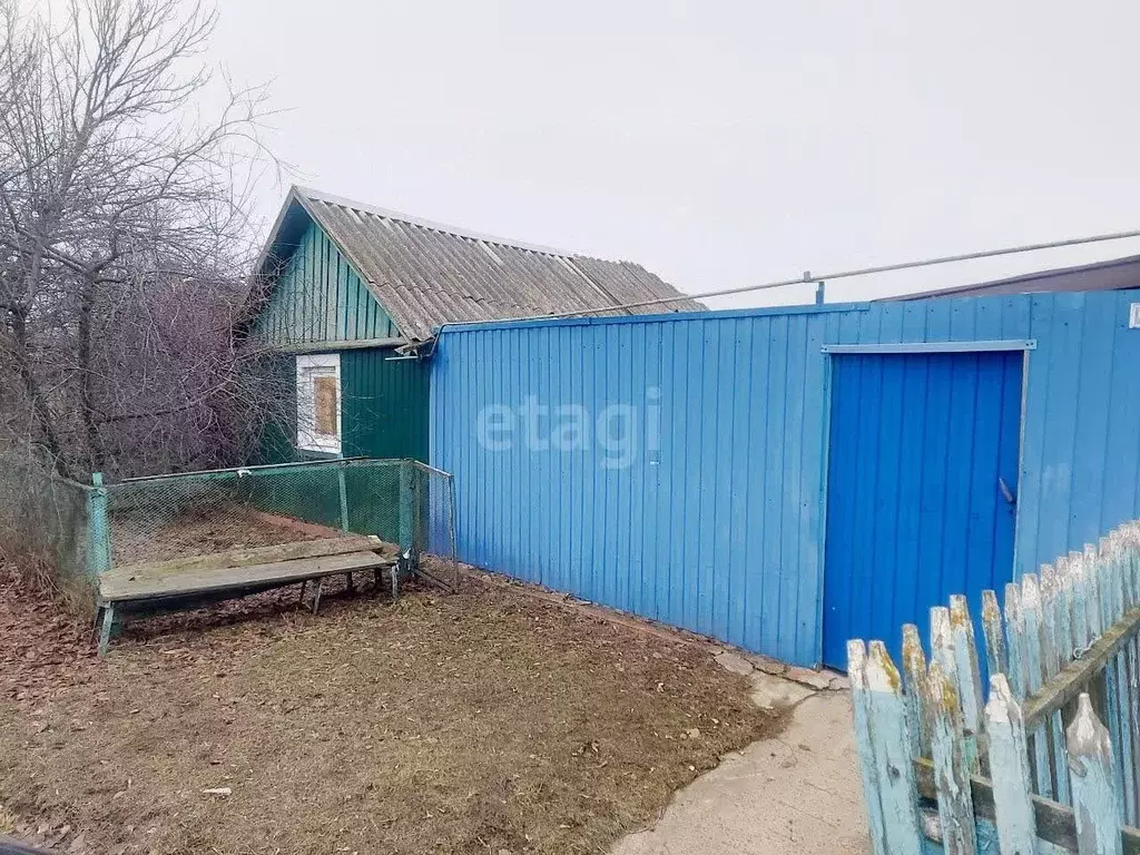 Дом в Белгородская область, Корочанский район, Новослободское с/пос, ... - Фото 1