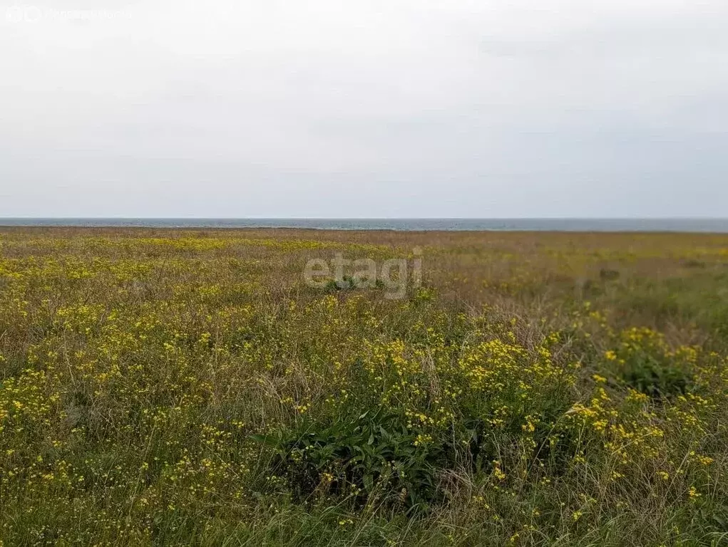 Участок в Окунёвское сельское поселение, село Знаменское, Белорусская ... - Фото 1