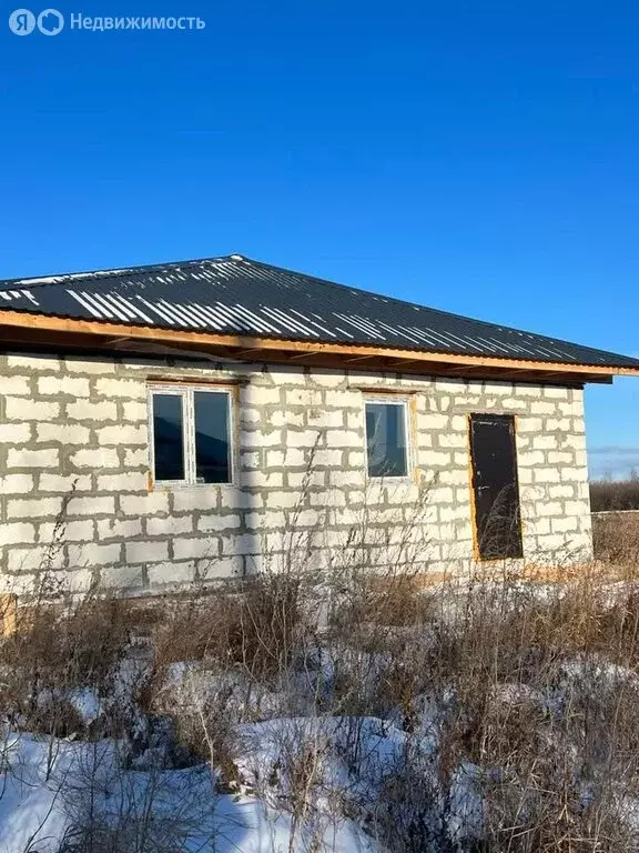 Дом в Сосновский район, посёлок Есаульский (100 м) - Фото 1