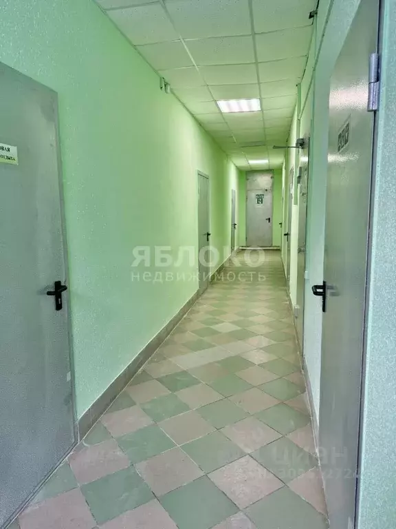 Помещение свободного назначения в Пермский край, Усолье Усольский ... - Фото 2