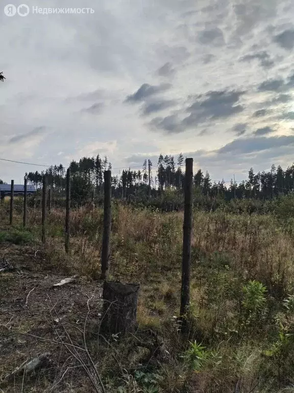 Участок в Ревда, Мирная улица (10 м) - Фото 1