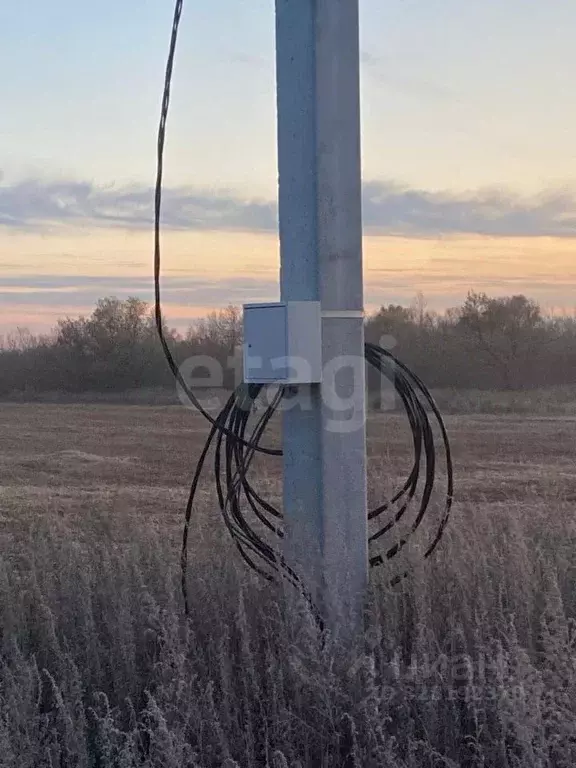 Участок в Амурская область, Зея  (10000.0 сот.) - Фото 1