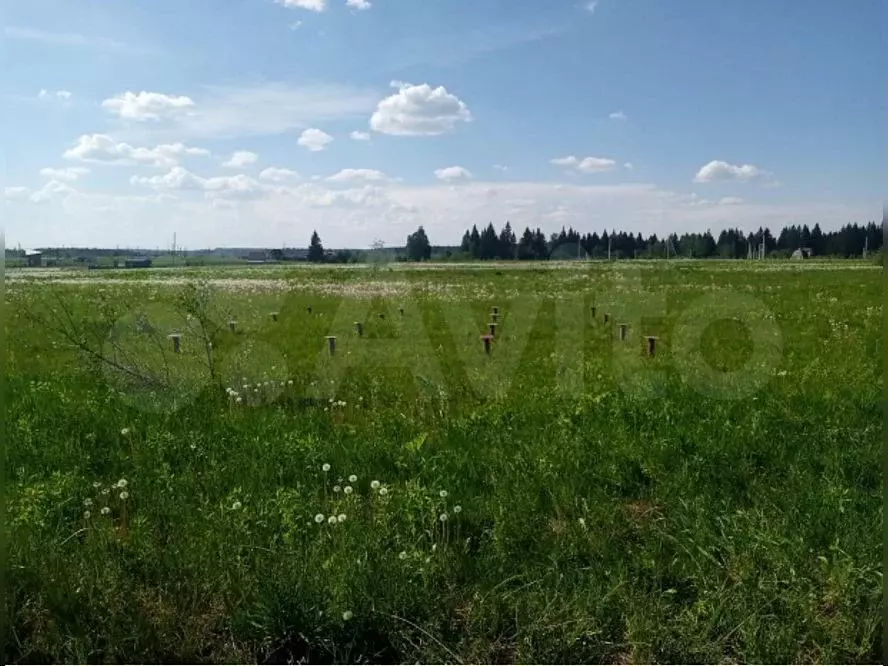 Участок 7 сот. (СНТ, ДНП) - Фото 0