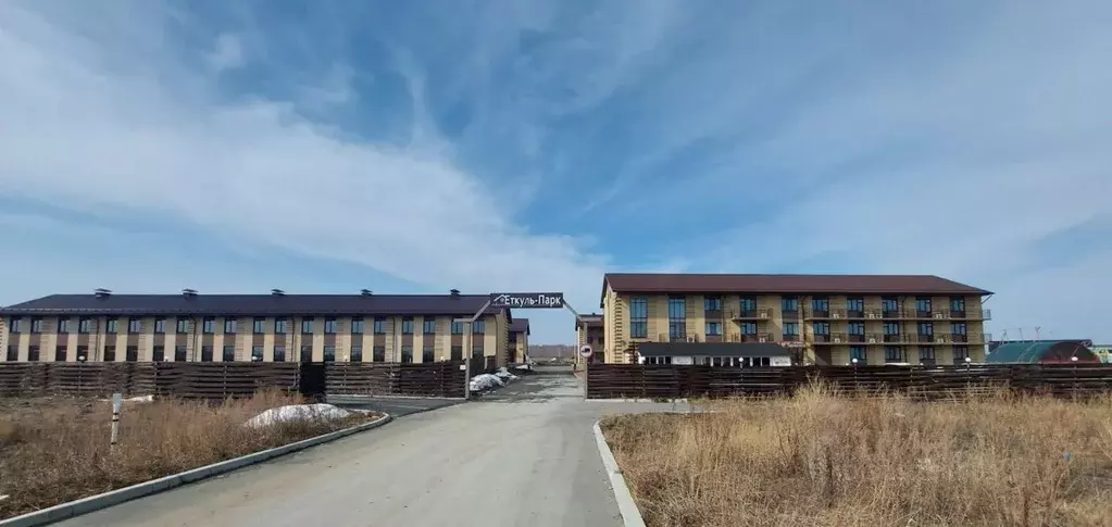 Таунхаус в Челябинская область, с. Еткуль ул. Кедровая, 6 (124 м) - Фото 1