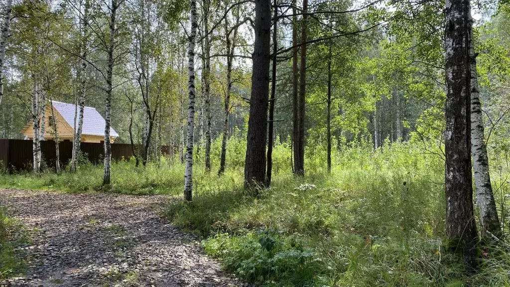 Участок в Свердловская область, Белоярский городской округ, пос. ... - Фото 1