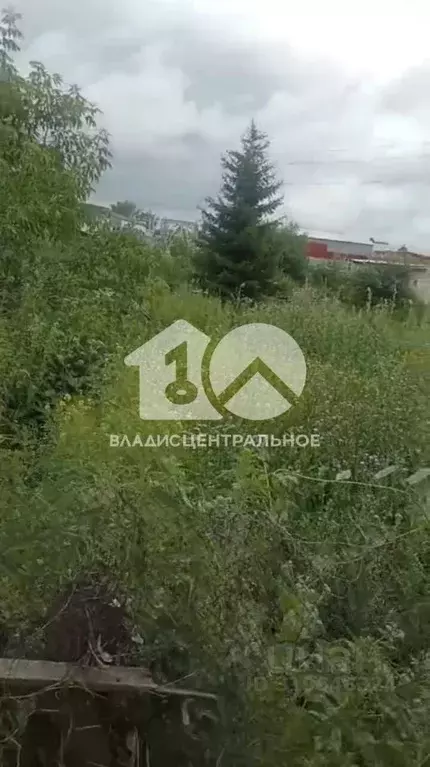 Участок в Новосибирская область, Новосибирский район, с. Верх-Тула ул. ... - Фото 0