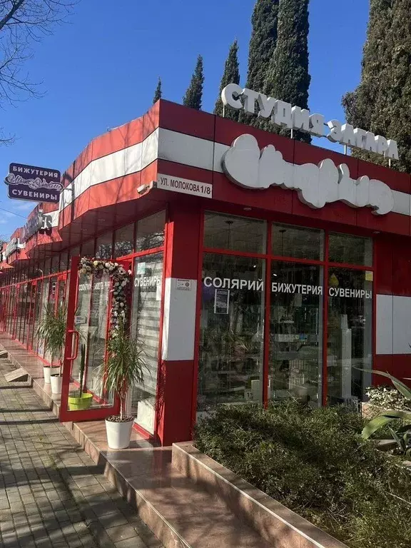 Помещение свободного назначения в Краснодарский край, Сочи ул. ... - Фото 1