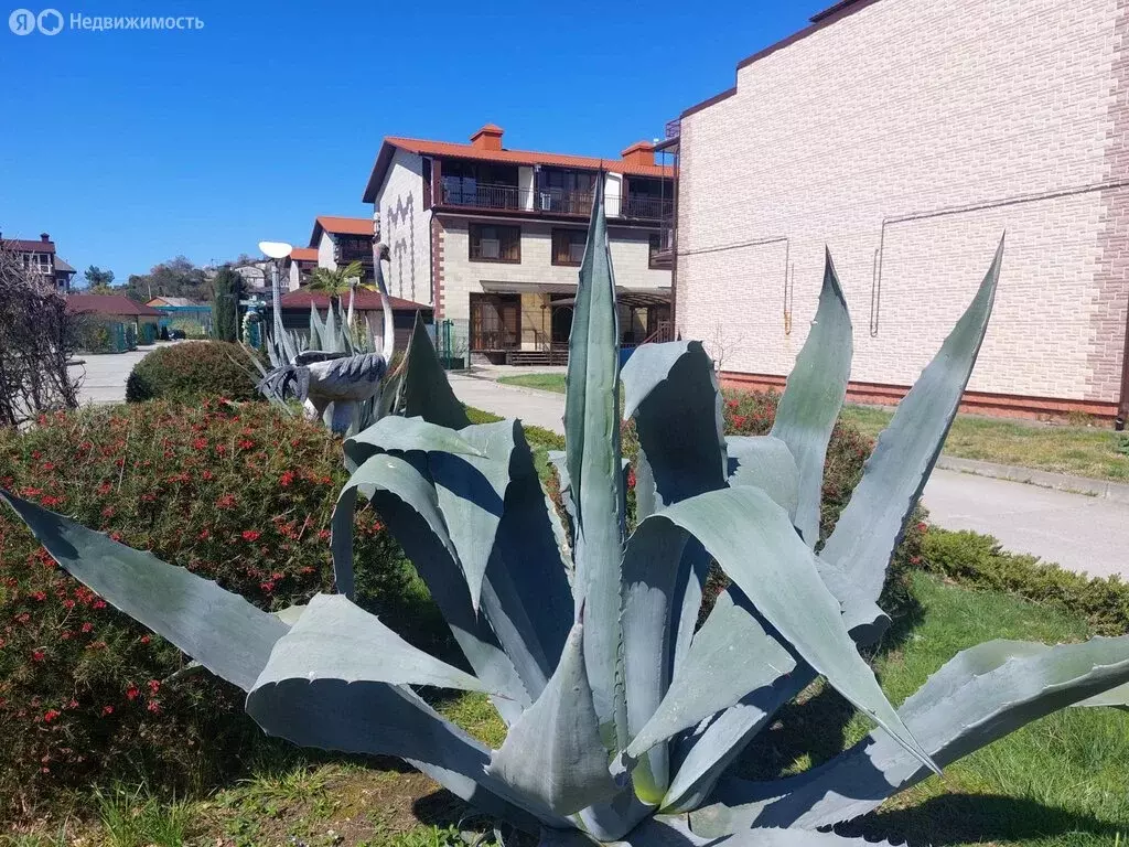 Дом в Сочи, улица Романтиков, 19 (88.6 м) - Фото 2