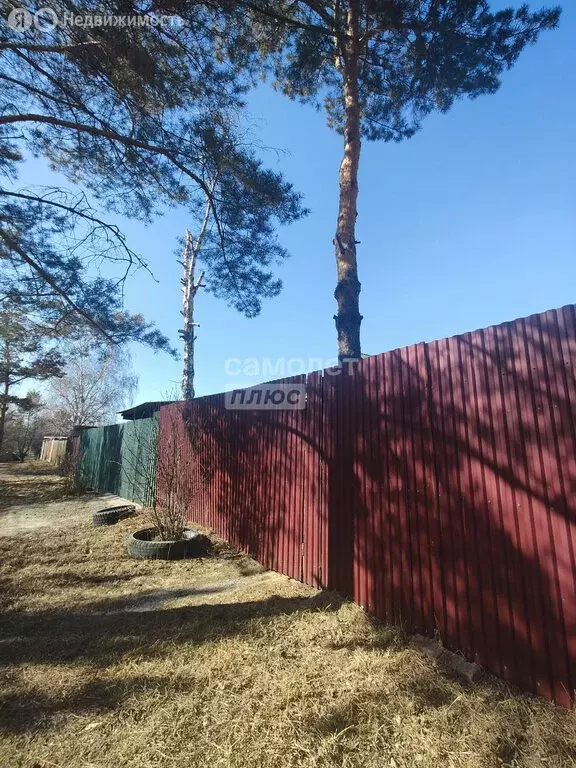 Дом в Иркутск, улица Маршала Конева (32.5 м) - Фото 2