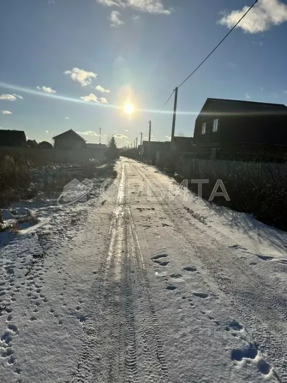 Участок в Тюменская область, Тюмень Садовое товарищество Липовый ... - Фото 1