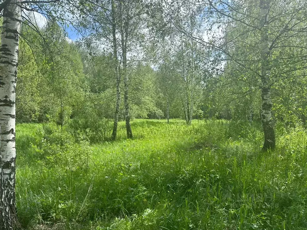 Участок в Московская область, Богородский городской округ, д. Кабаново ... - Фото 1
