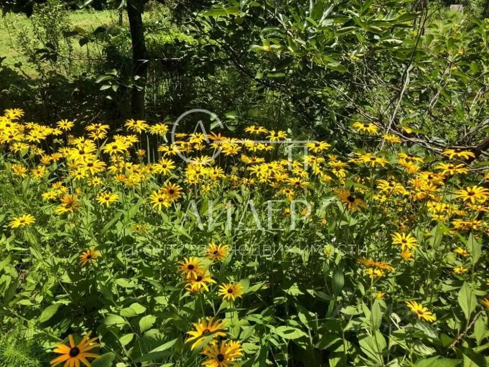 Участок в Башкортостан, Кугарчинский район, Мраковский сельсовет, с. ... - Фото 1
