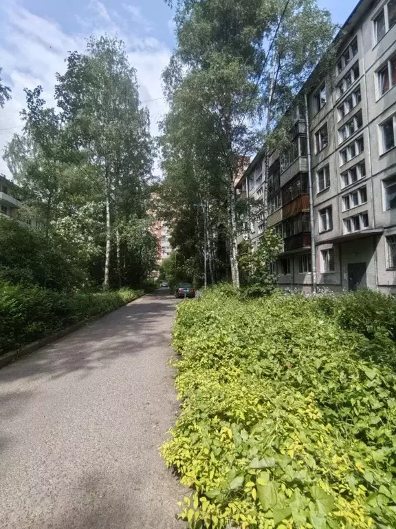 1-к кв. Санкт-Петербург Витебский просп., 77 (30.7 м) - Фото 0