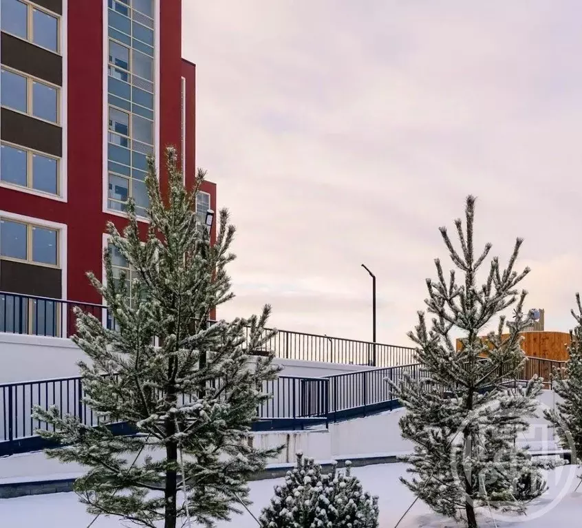 Студия Санкт-Петербург Пискаревский просп., 142к4 (23.17 м) - Фото 1