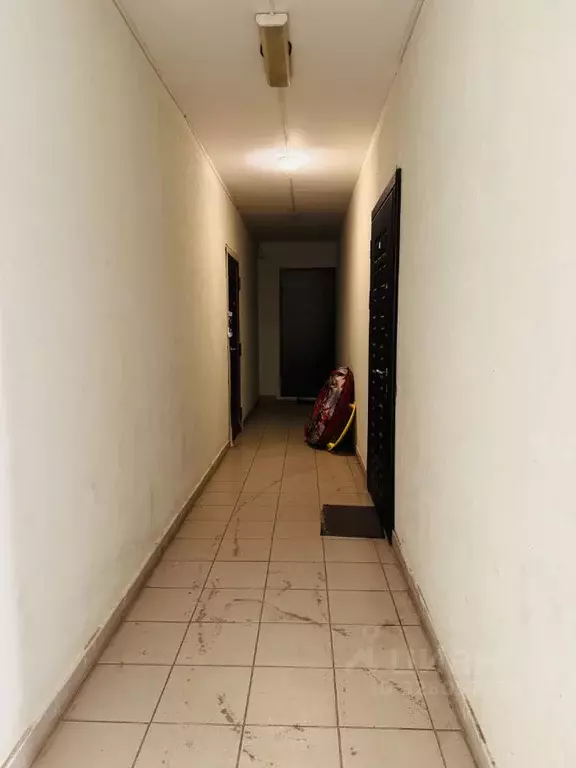 2-к кв. Московская область, Чехов муниципальный округ, с. Новый Быт ... - Фото 2