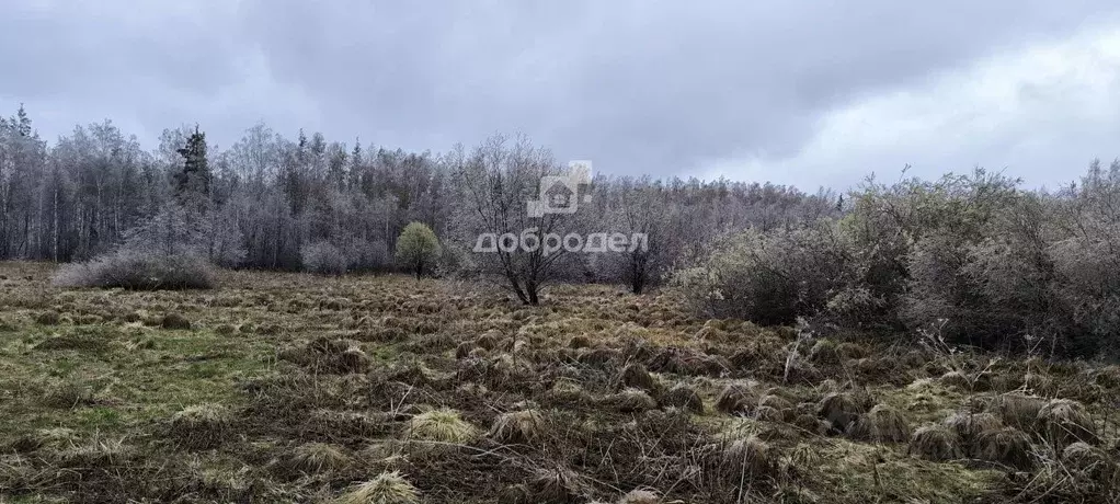 Участок в Свердловская область, Дегтярск ул. Валентины Терешковой, 21 ... - Фото 0