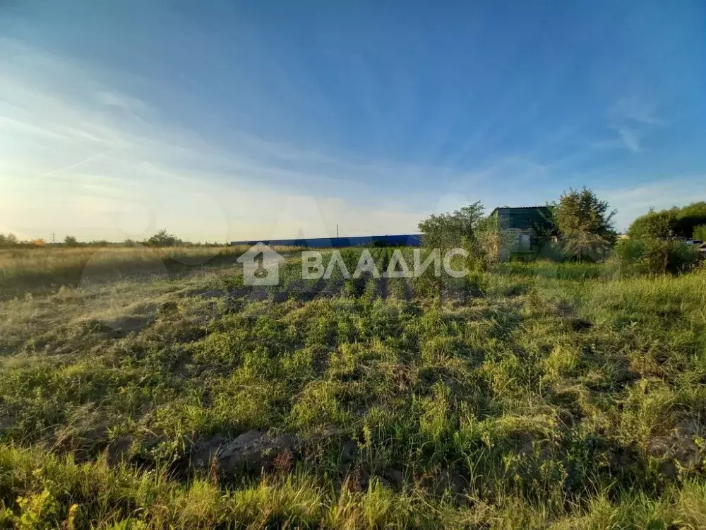 Деревня ручей ковровский. Деревня ручей ковровский. Деревня ручей ковровский. Территория предприятия "ручьи", участок 40. Пакино владимирская область.