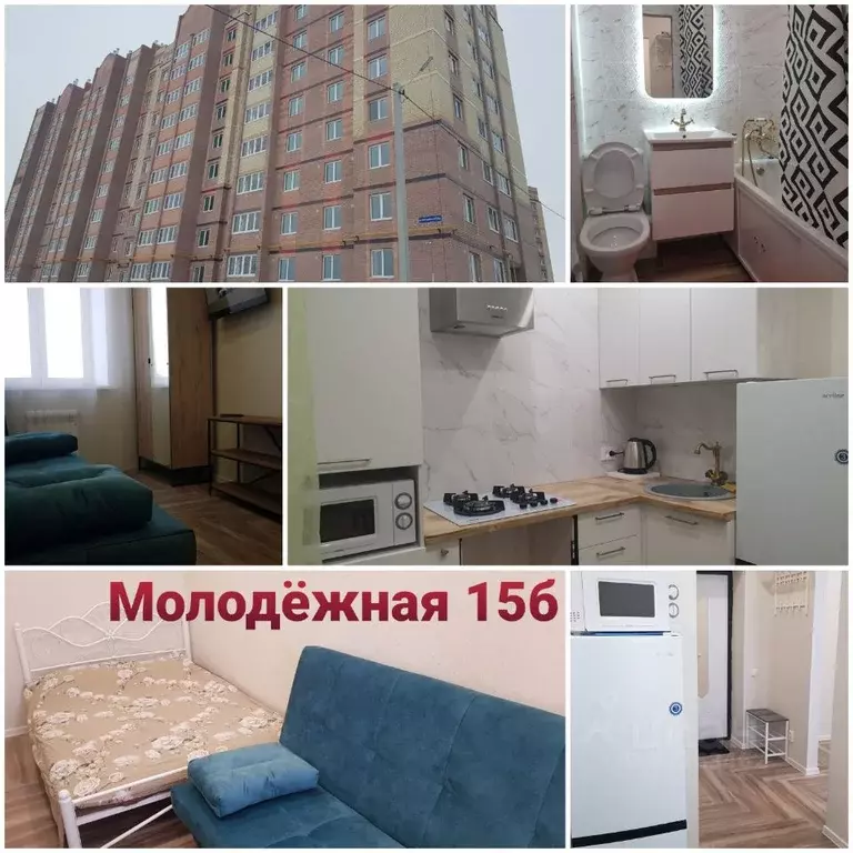 1-к кв. Марий Эл, Йошкар-Ола городской округ, с. Семеновка ул. ... - Фото 0