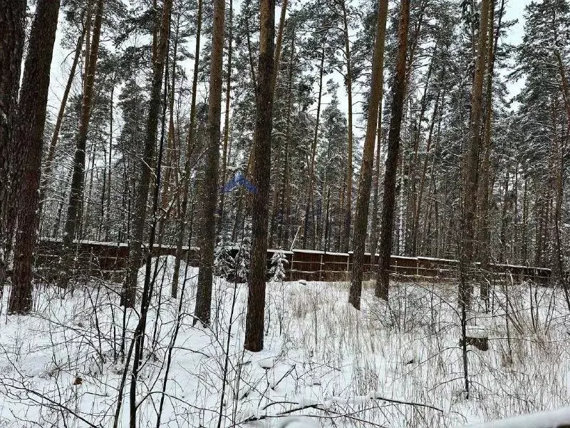Участок в Татарстан, Лаишевский район, д. Матюшино 2 (20.0 сот.) - Фото 1