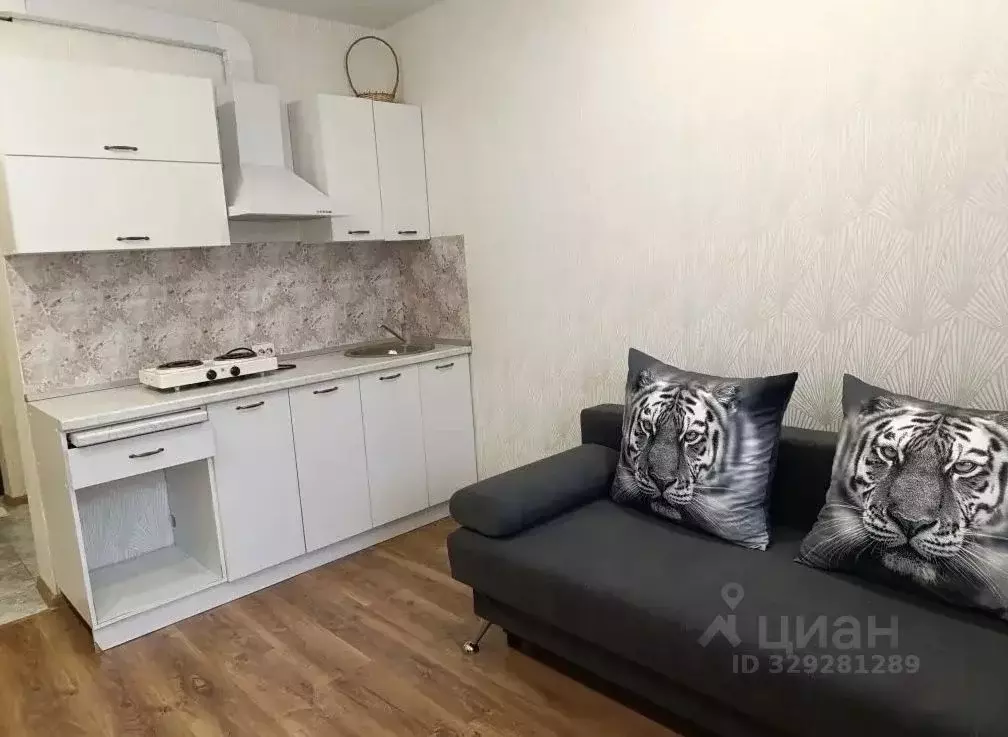 Студия Пензенская область, Пензенский район, Засечный сельсовет, с. ... - Фото 1