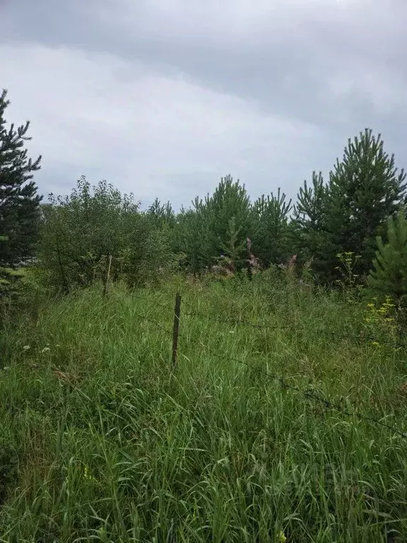 Участок в Свердловская область, Белоярский муниципальный округ, с. ... - Фото 1