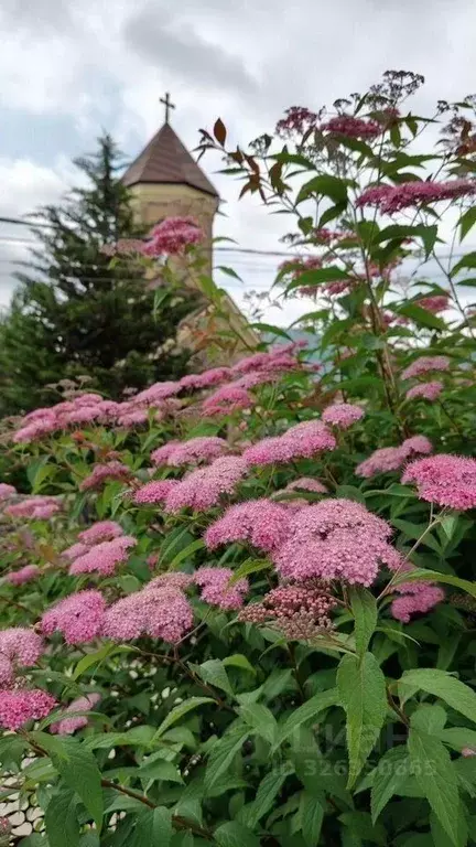 Участок в Краснодарский край, Сочи городской округ, с. Пластунка ул. ... - Фото 2