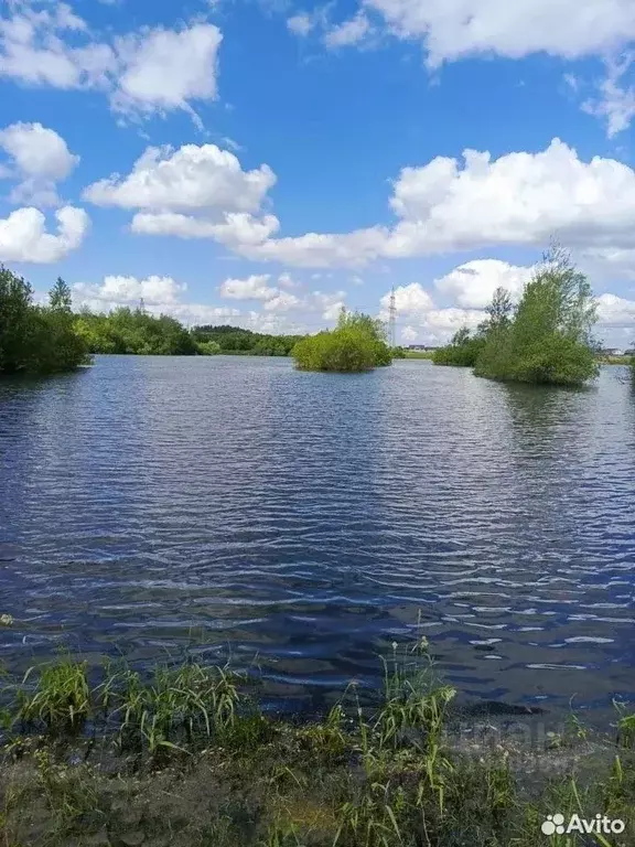Участок в Ленинградская область, Ломоносовский район, Аннинское ... - Фото 0