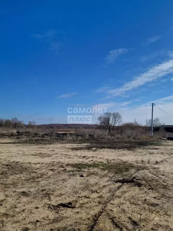 Участок в Воронежская область, Новоусманский район, с. Бабяково ... - Фото 0