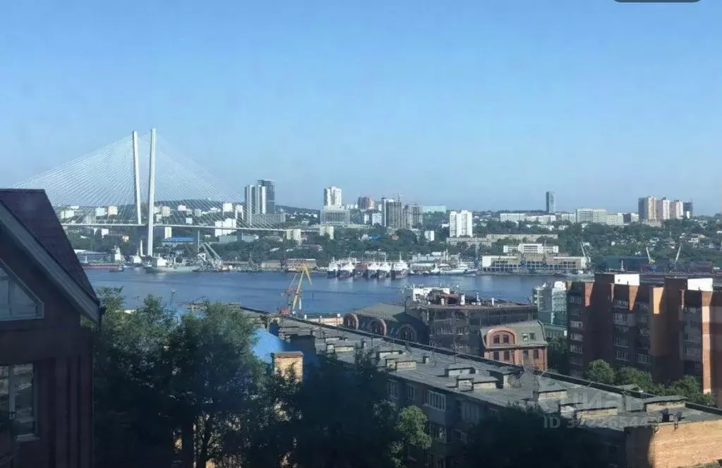 3-к кв. Приморский край, Владивосток Тигровая ул., 16А (110.0 м) - Фото 2