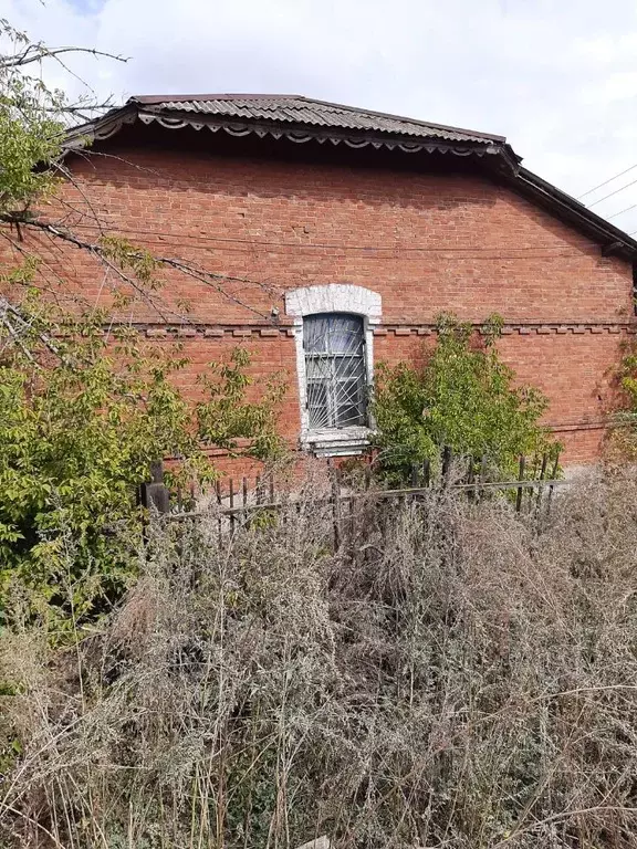 Помещение свободного назначения в Волгоградская область, Калачевский ... - Фото 1