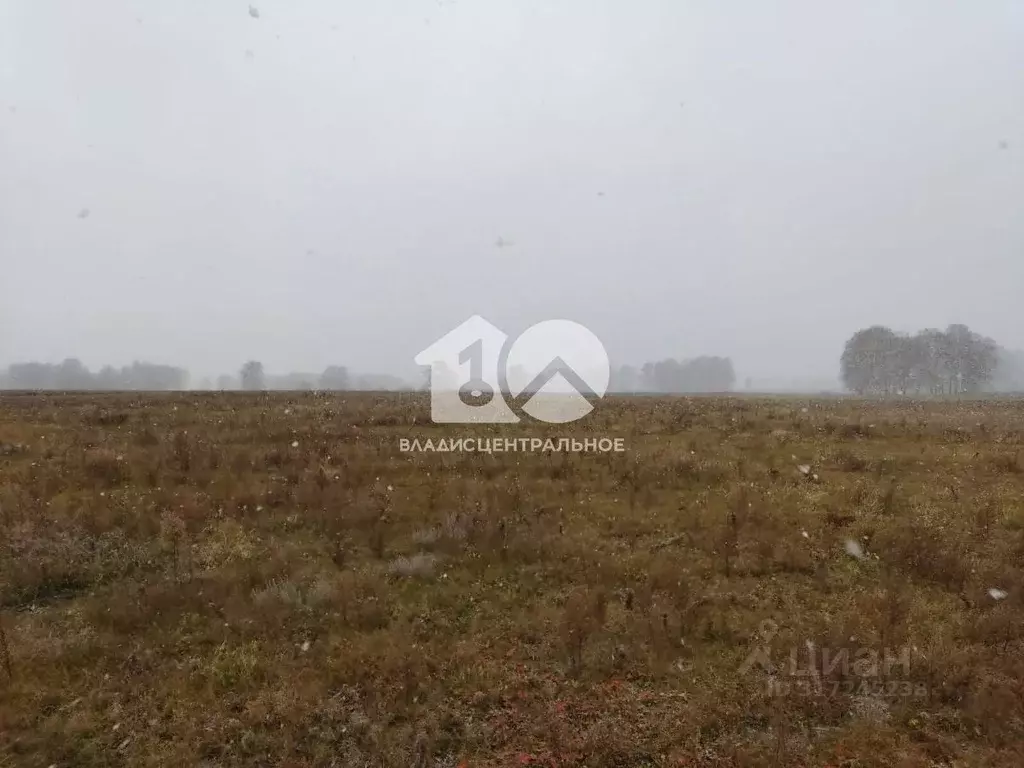 Участок в Новосибирская область, Ордынский район, с. Вагайцево ул. ... - Фото 0