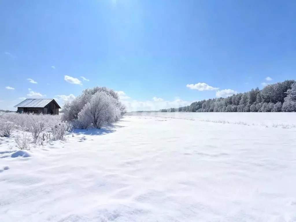 Участок в Ленинградская область, Киришский район, Кусинское с/пос, д. ... - Фото 1