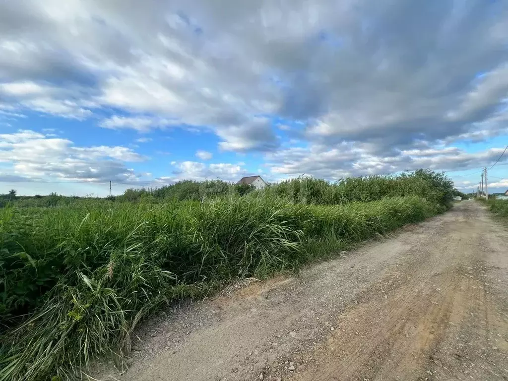 Участок в Тюменская область, Тюмень Царево садовое товарищество, ул. ... - Фото 1