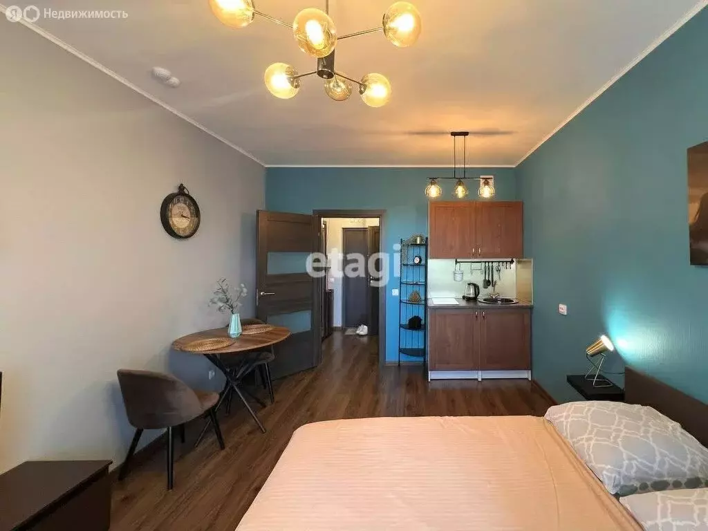 Квартира-студия: Санкт-Петербург, Торфяная дорога, 15к3 (27 м) - Фото 1