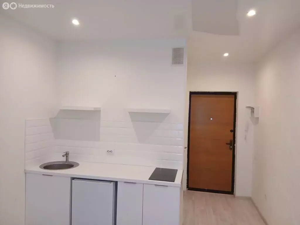 Квартира-студия: Засечное, Светлая улица, 15 (20 м) - Фото 1