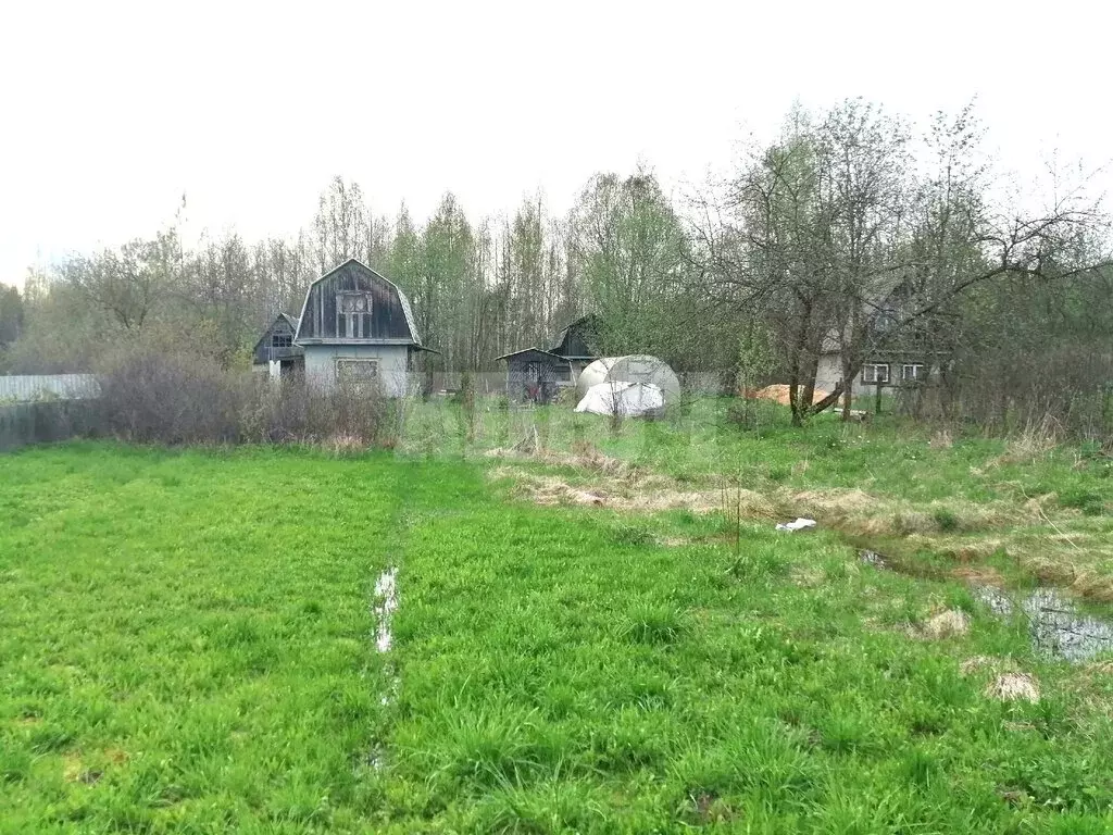 Участок в Вологодская область, Сокол (7 м) - Фото 0