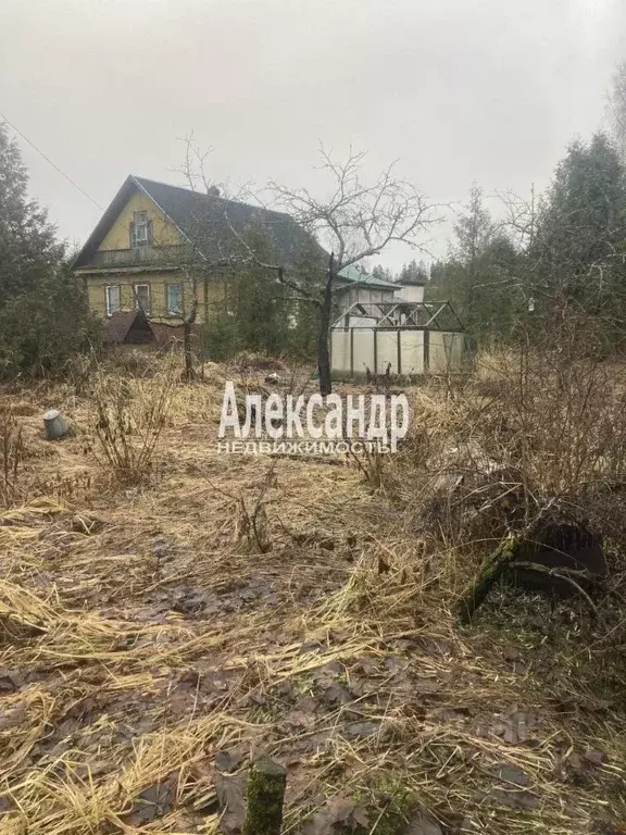 Участок в Ленинградская область, Лужский район, Мшинское с/пос, д. ... - Фото 2