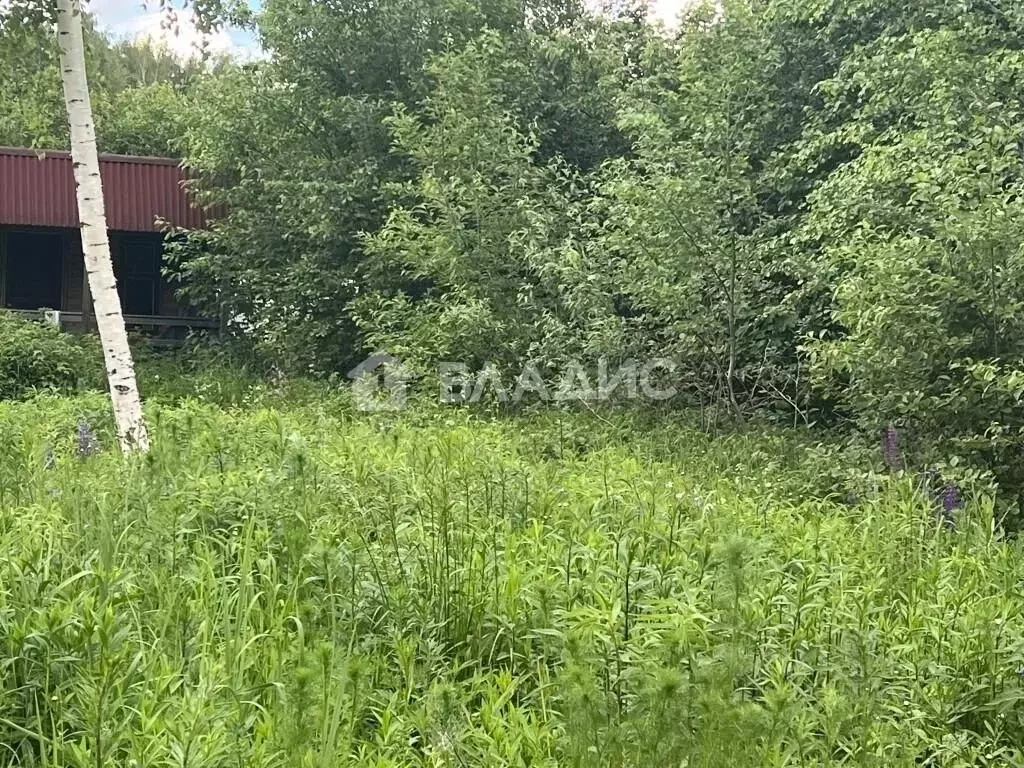 Участок в Владимирская область, Суздальский район, Новоалександровское ... - Фото 1