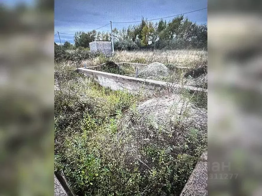 Участок в Курганская область, с. Кетово ул. Мирная (12.0 сот.) - Фото 1