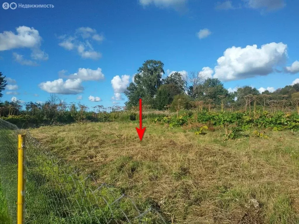 Участок в Калининградская область, Гурьевский муниципальный округ, ... - Фото 1