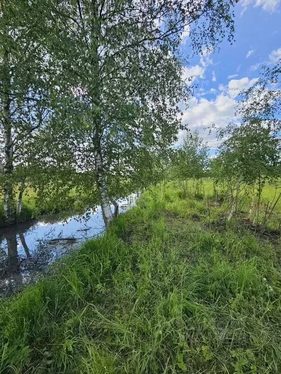 Участок в Московская область, Щелково городской округ, д. Большие ... - Фото 1
