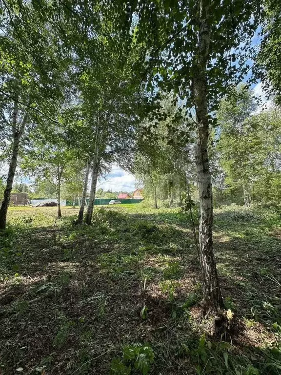 Участок 5,3 сот. (СНТ, ДНП) - Фото 1