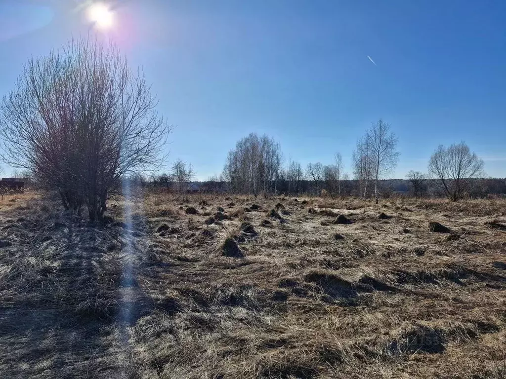 Участок в Московская область, Ступино городской округ, д. Щербинино  ... - Фото 1